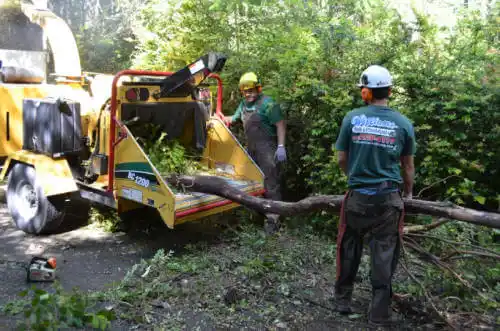 tree services Tahoma